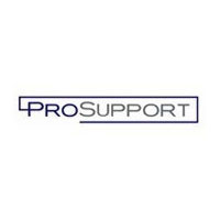 Netgear ProSupport OnCall 24x7 (PMB0333UK)